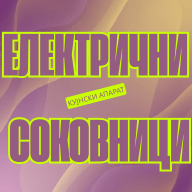 Електричен Соковник